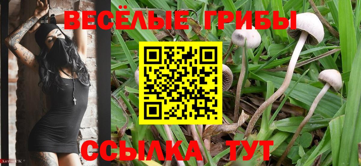 даркнет сайт  Вход с VPN  Кузнецк  Галлюциногенные грибы GOLDEN TEACHER 