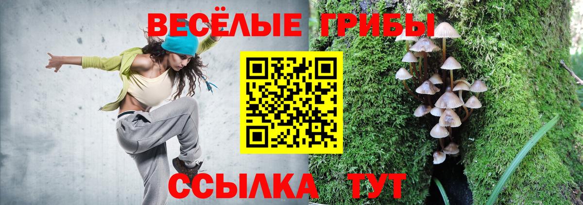 Псилоцибиновые грибы GOLDEN TEACHER Кузнецк